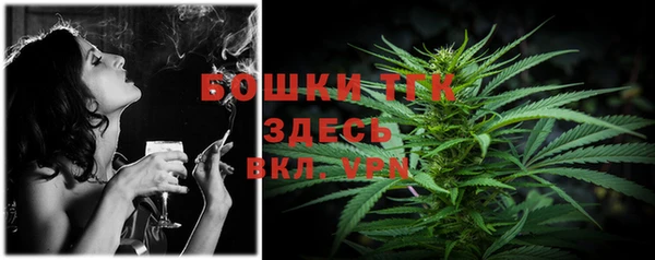 не бодяженный Бородино