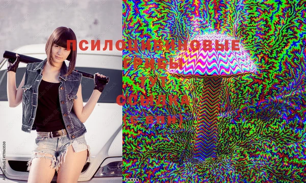 метадон Верея
