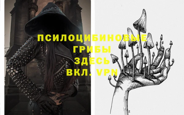метадон Верея
