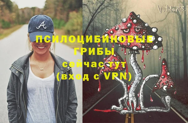метадон Верея