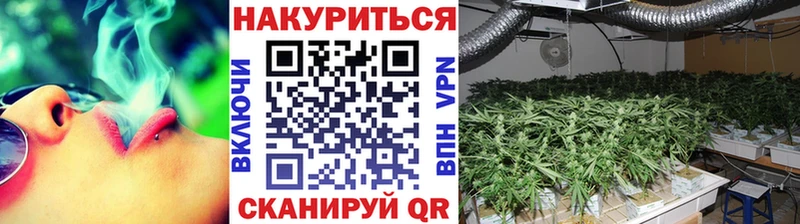 Бошки Шишки марихуана Кадников